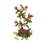 粉花小盆栽